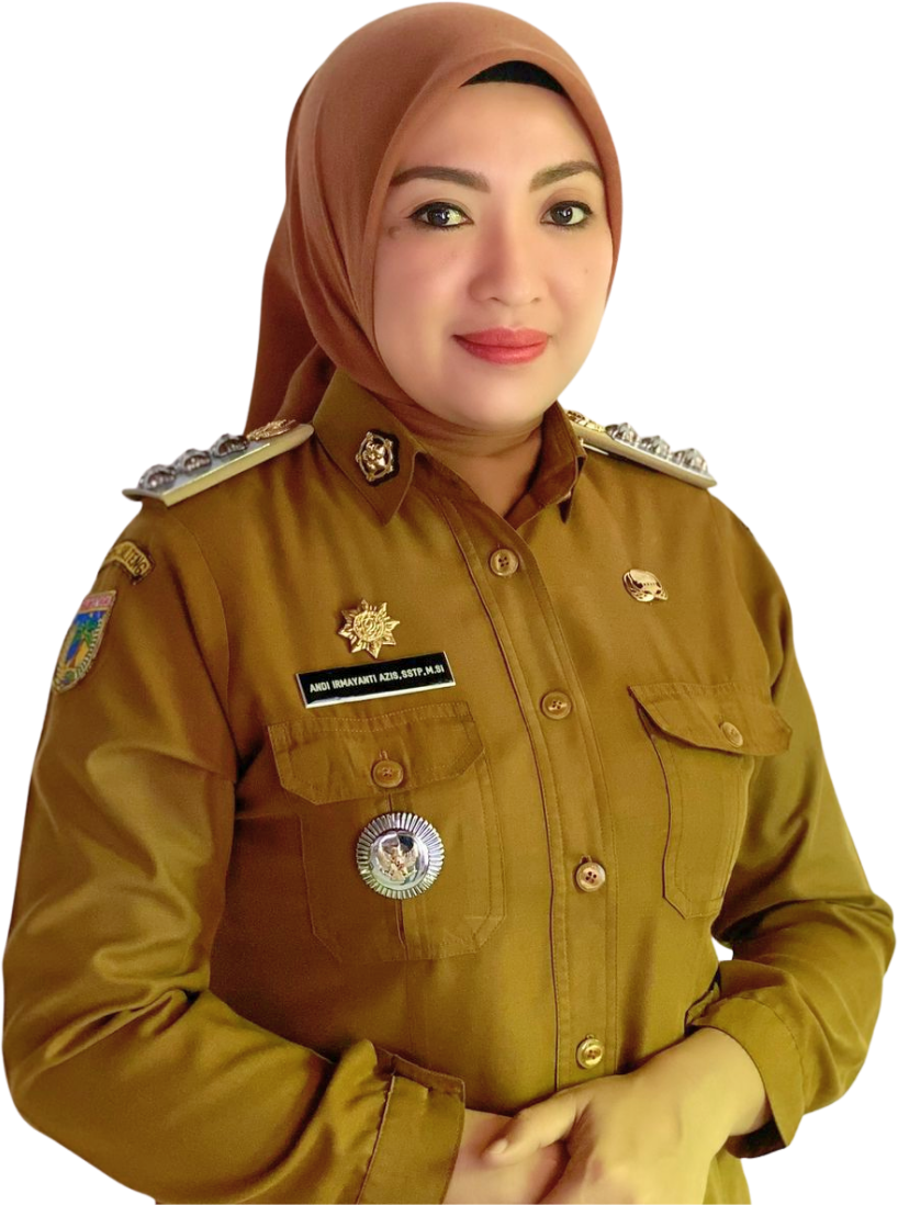 Andi Irmayanti Azis, S.STP., M.Si., Camat Baolan